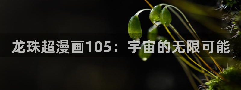 汗汗漫画改名叫什么了：龙珠超漫画105：宇宙的无限可能