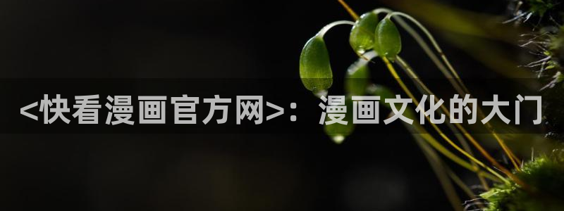 汗汗漫画下拉式漫画官网：<快看漫画官方网>：漫画文化的大门