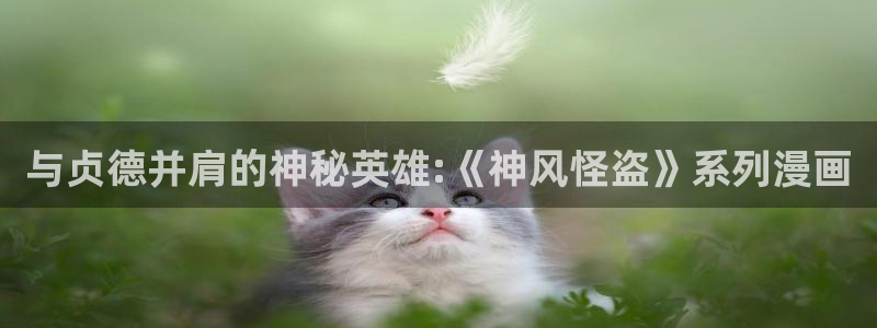 汗汗漫画韩漫在线观看：与贞德并肩的神秘英雄:《神风怪盗》系列漫画