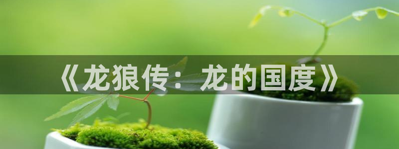 歪歪漫画sss汗汗漫画：《龙狼传：龙的国度》