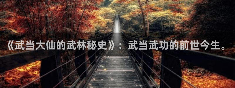 yy汗汗漫画在线观看：《武当大仙的武林秘史》：武当武功的前世今生。