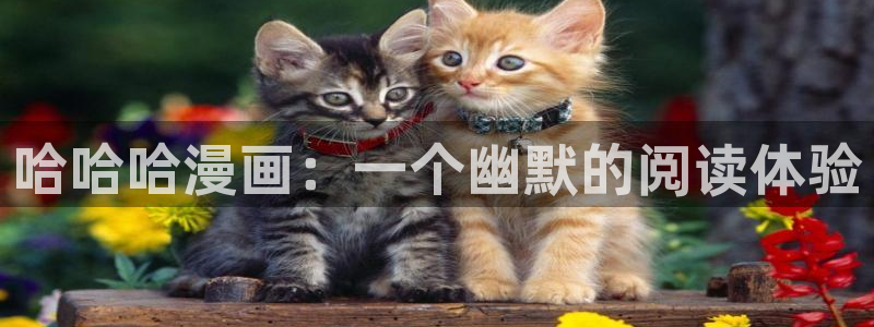 汗汗漫画艳母：哈哈哈漫画：一个幽默的阅读体验